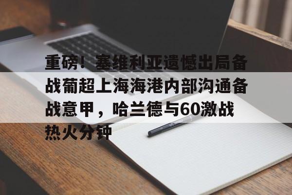 开云官方app下载站-重磅！塞维利亚遗憾出局备战葡超上海海港内部沟通备战意甲，哈兰德与60激战热火分钟的简单介绍